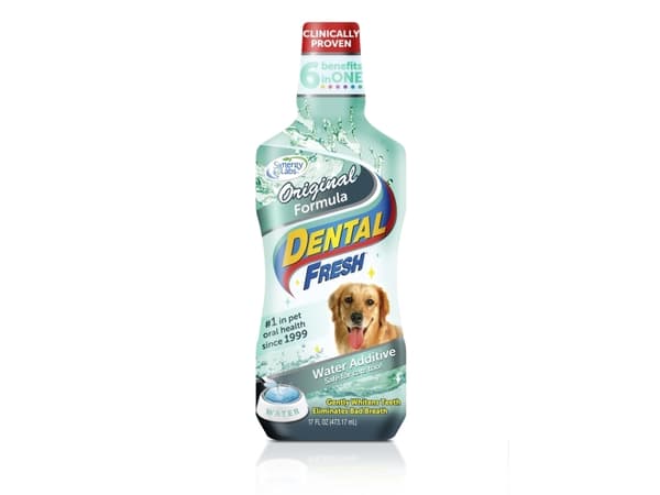 SYNERGY LABS Dental Fresh Dog 470ml