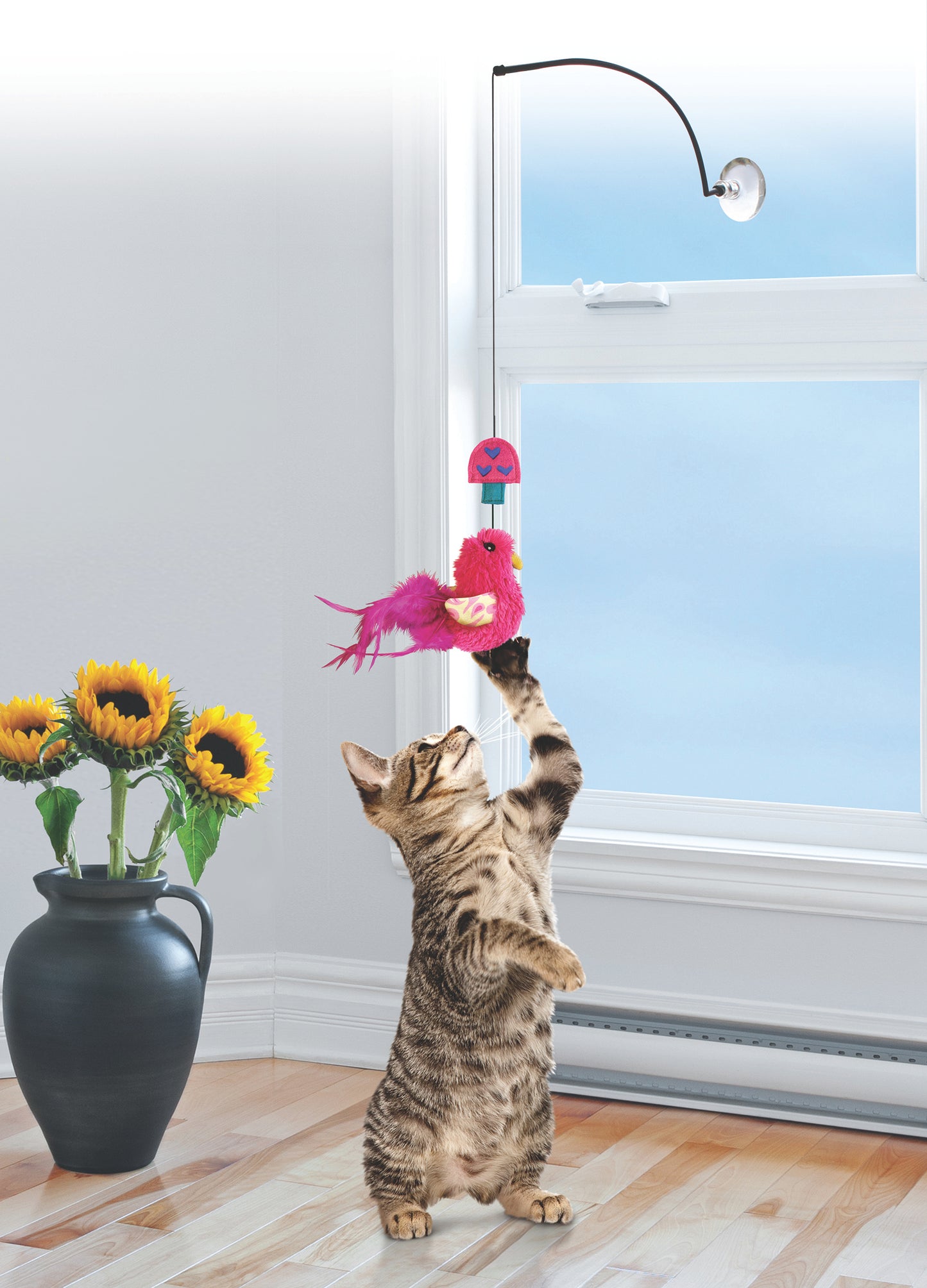 Kong Kattleksak Window Teaser Bird Mix
