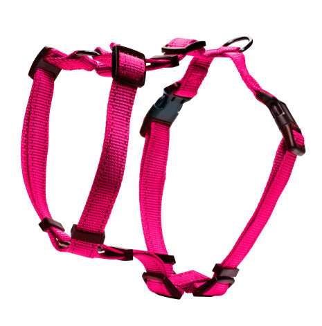 H SELE IRIS ROSA 20 MM, 30-70cm
