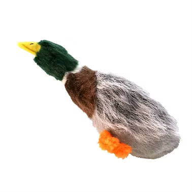 Dog Life Mallard