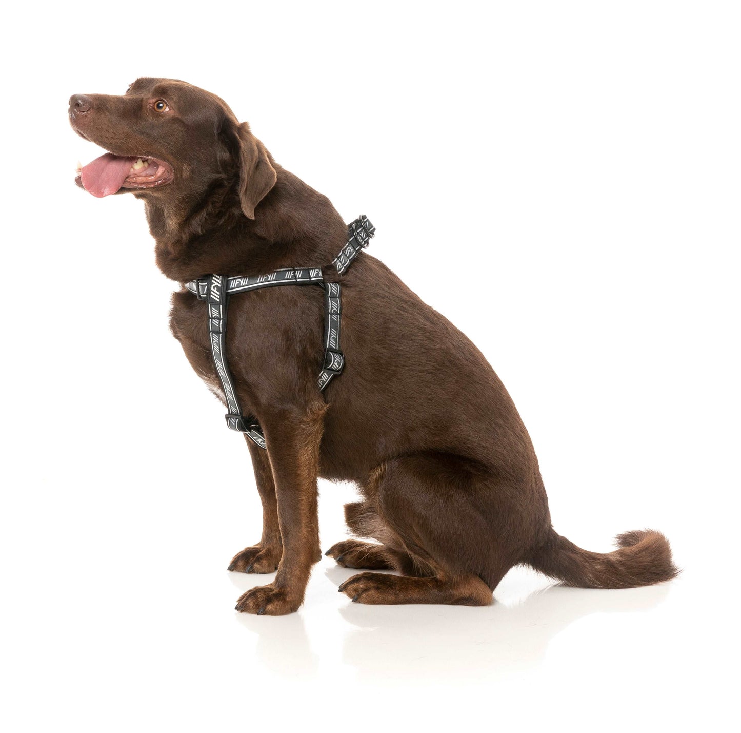 FuzzYard Active Strap Sele - Svart