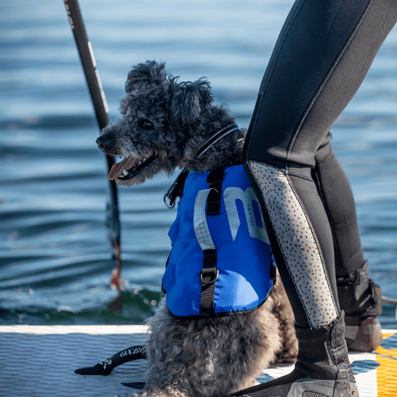 Splash Hundflytväst