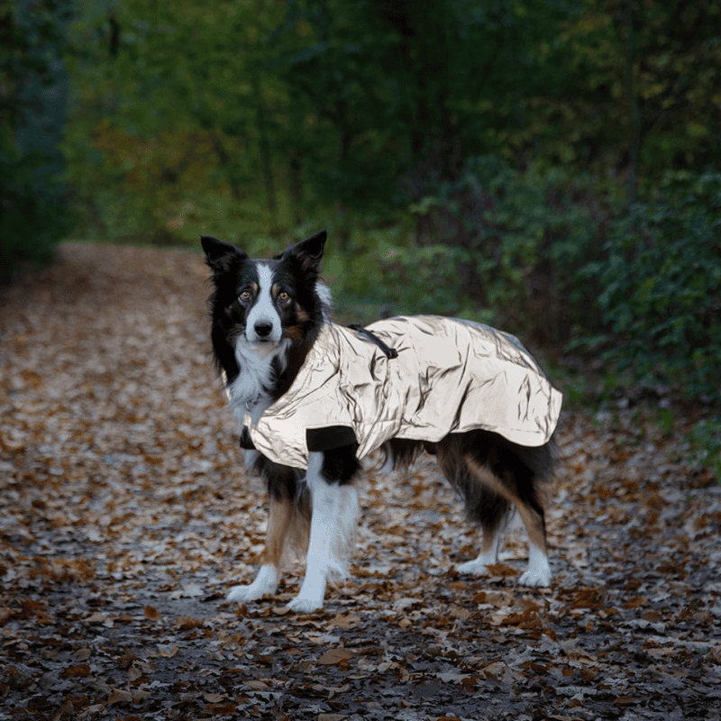 Dogman Reflextäcke Ralf Light 35cm