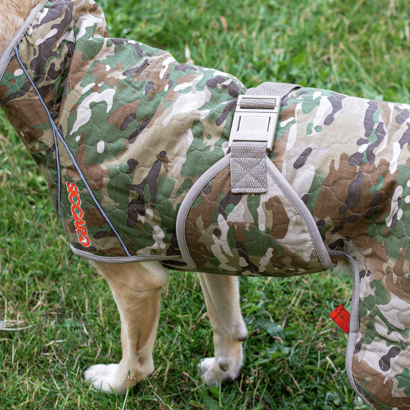 Siccaro Spa Torktäcke Spirit 2.0 Hund
