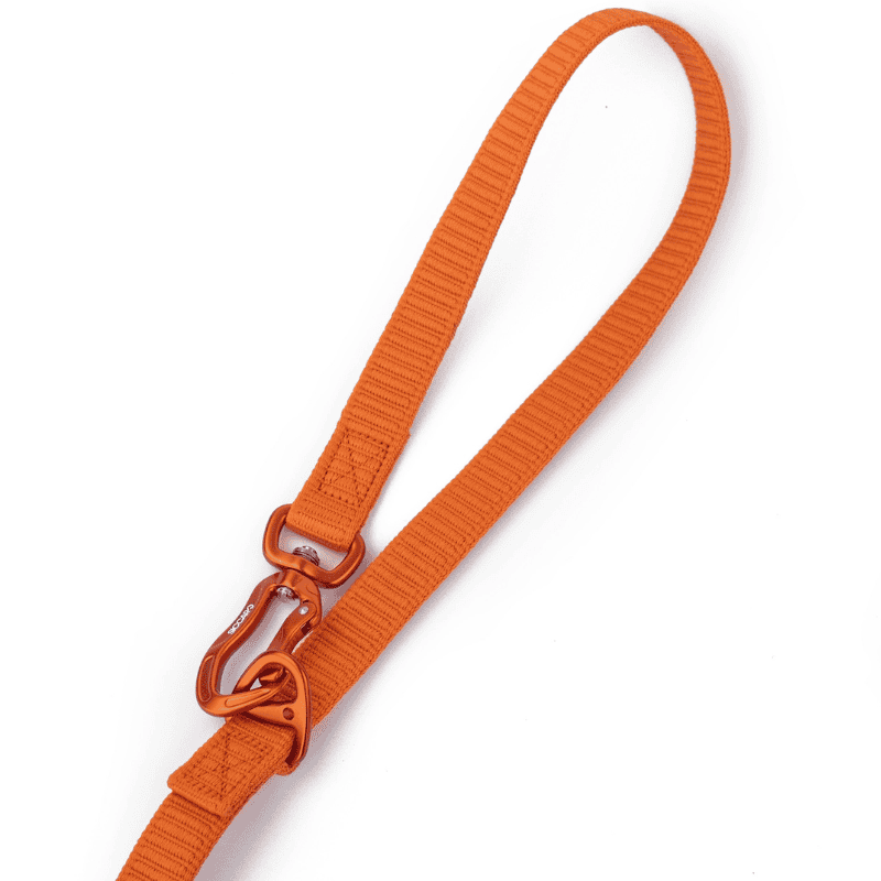 Siccaro Koppel Sealine multi