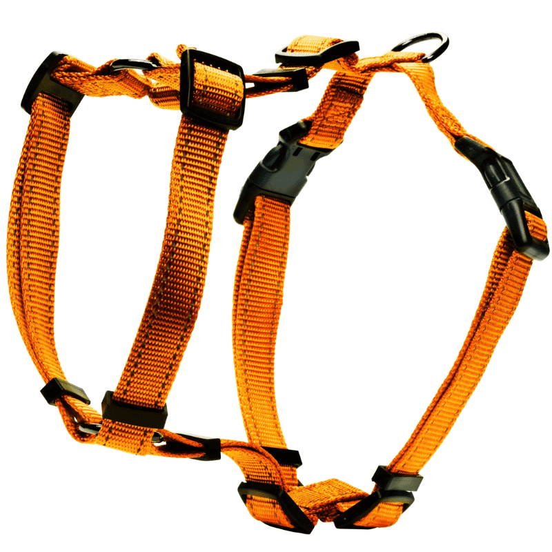 Dogman H-Sele Iris Liten/Medel/Stor