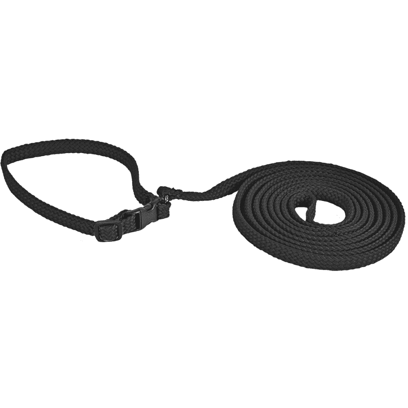 Alac Halsband & Koppel Set - Liten Hund