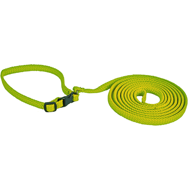 Zooi Halsband & Koppelset för Valp