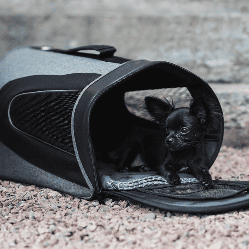 Dogman Bärväska Snobben