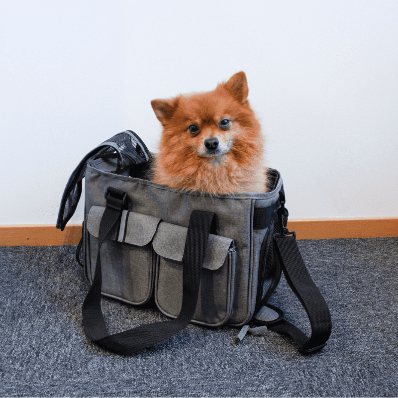 Dogman Bärväska Ludde