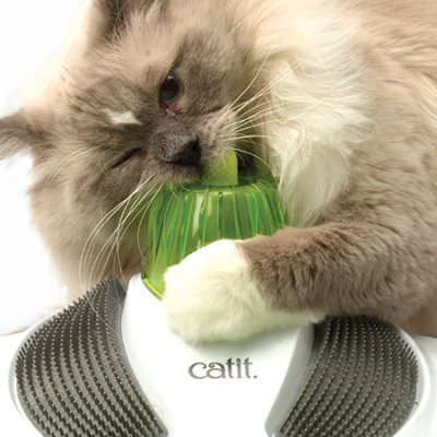Catit Catit Senses 2.0 - Wellness Center