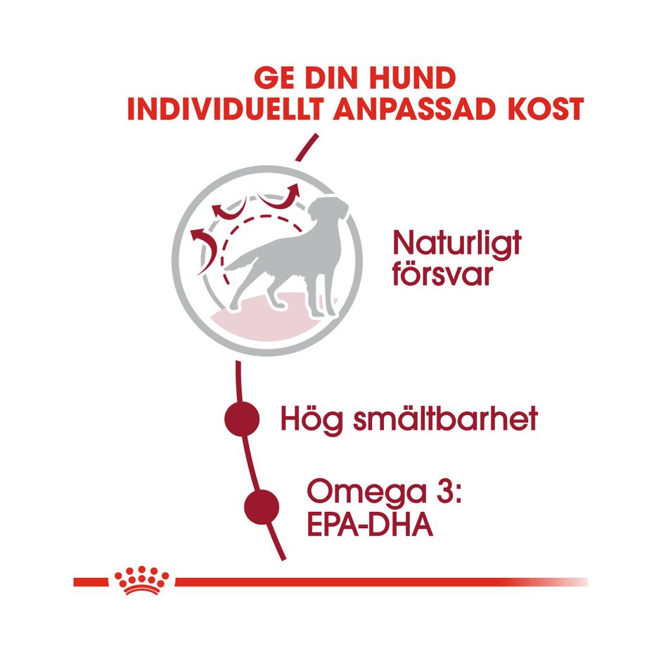 Royal Canin Medium Adult Torrfoder för hund 15 kg