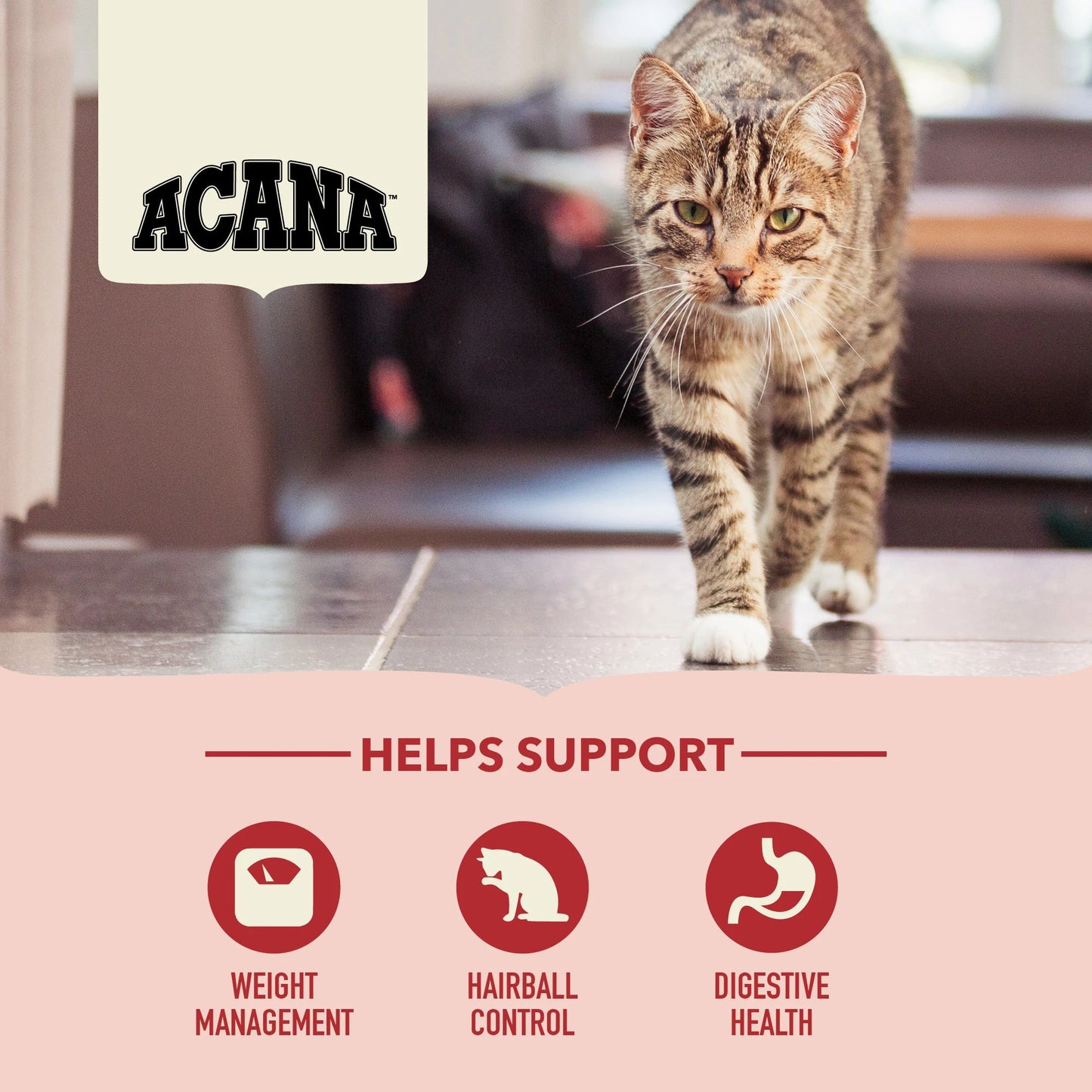 Acana Adult Indoor Entrée Torrfoder för katt 4,5kg