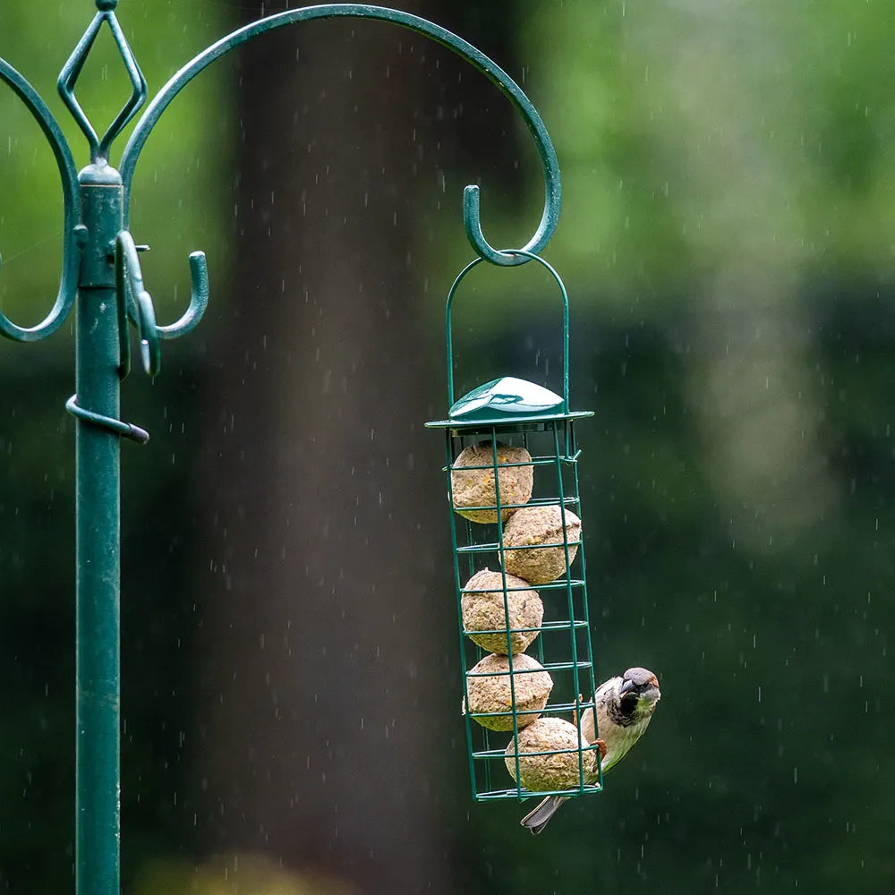 Fågelmat Talgbollar med Insektsfett 6-pack