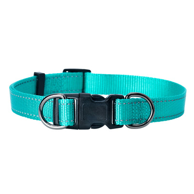 Dogman Nylonhalsband Iris Ställbart Turkos