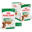 Royal Canin Mini Adult Våtfoder för hund 12x85 g