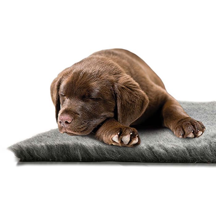Ozami Fäll Dry Bed Grå