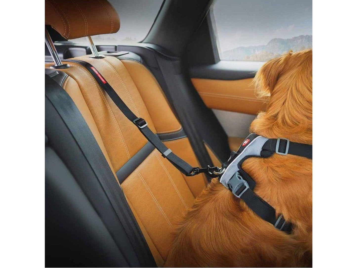 Ezydog - Click Dog Seat Belt Isofix L