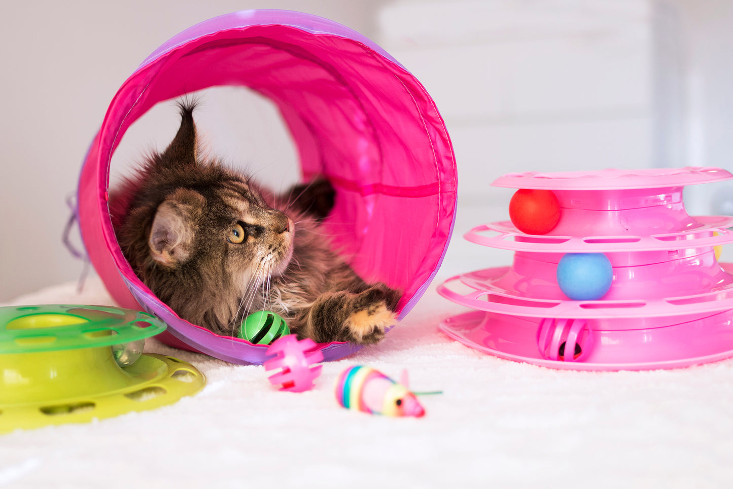 Dogman Lektunnel för Katt & Liten Hund - Rosa