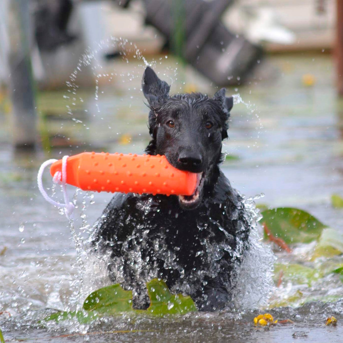 Dogman Leksak Dummie Flytande Orange L
