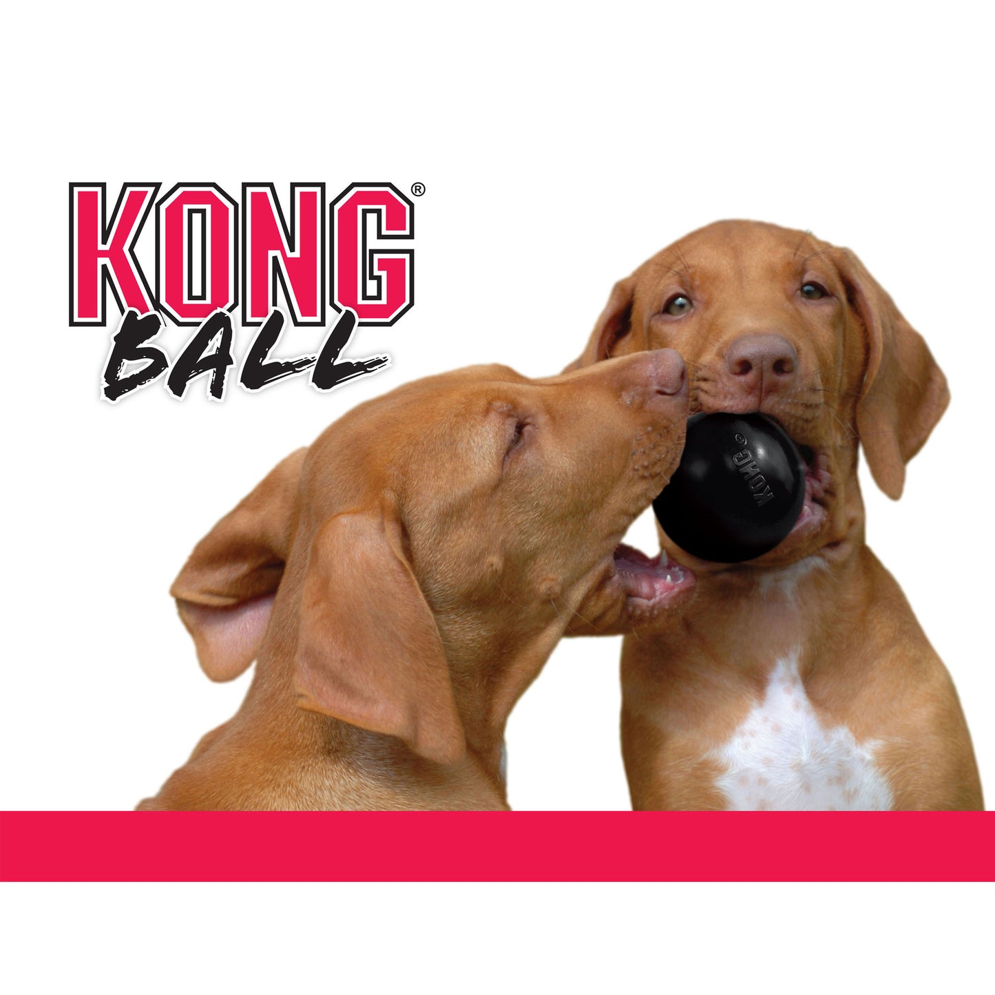 Kong Leksak Ball Extreme Svart S