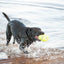 Kong Leksak AirDog Football Gul S
