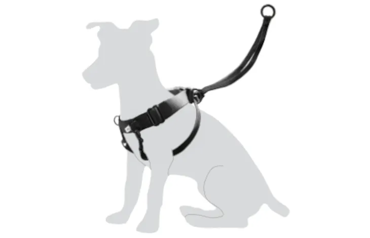 Harness Easy Walker Black S