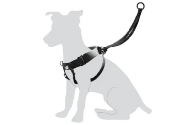 Harness Easy Walker Black S