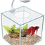 MARINA Betta Kit Cubus 3.4L Med Led Belysning