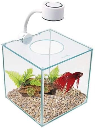 MARINA Betta Kit Cubus 3.4L Med Led Belysning