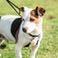 Anti-Pull Harness – Small