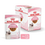 Royal Canin FHN Gravy Kitten Våtfoder för kattunge 12x85 g