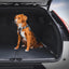 Ezydog - Click Dog Seat Belt Isofix L