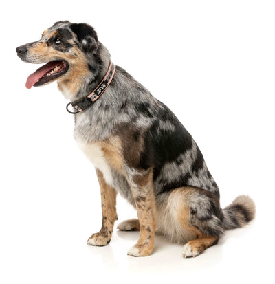 FuzzYard Active Hundhalsband Peach