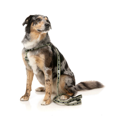 FuzzYard FY Active Koppel - Khaki
