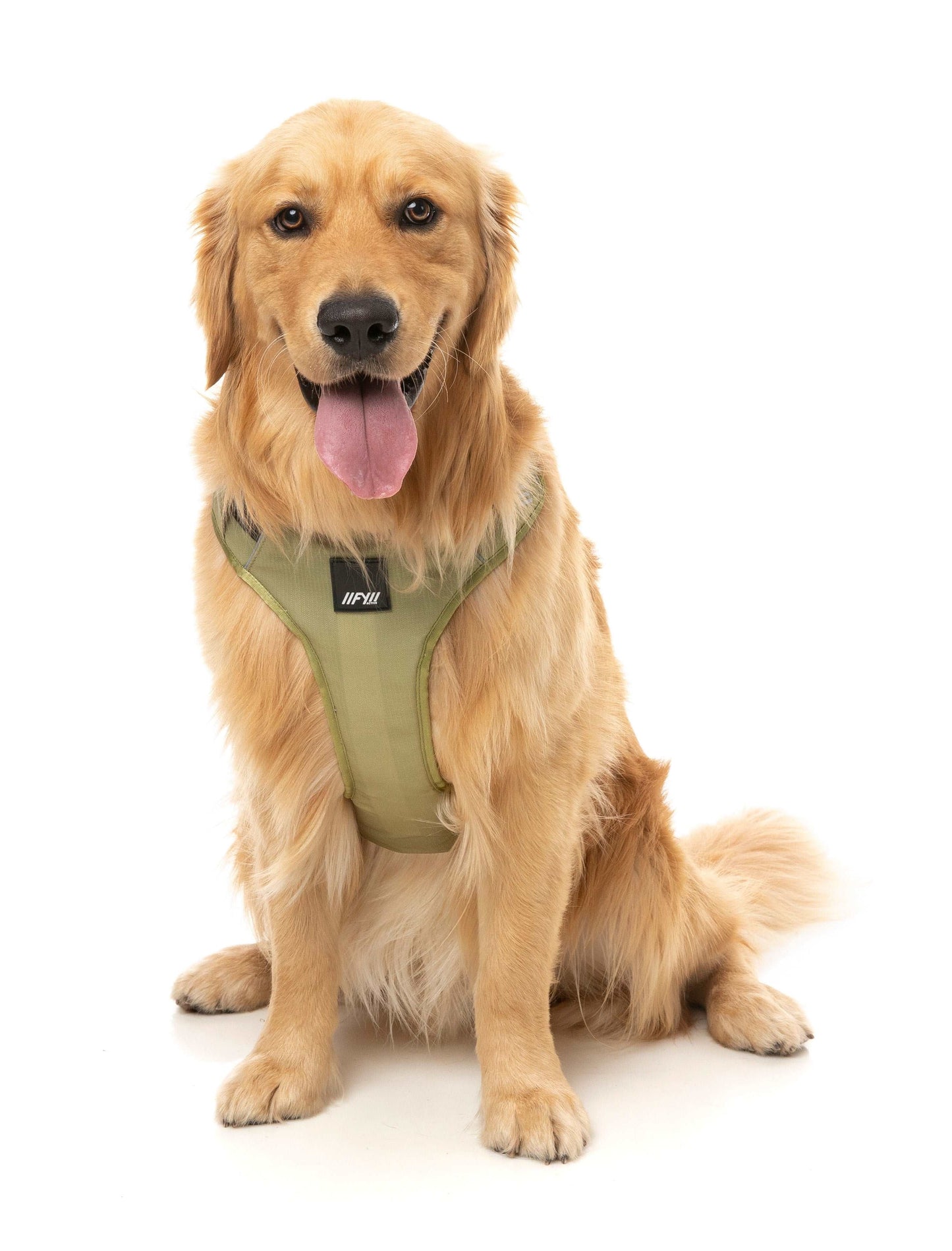 FuzzYard Active Go Sele - Khaki