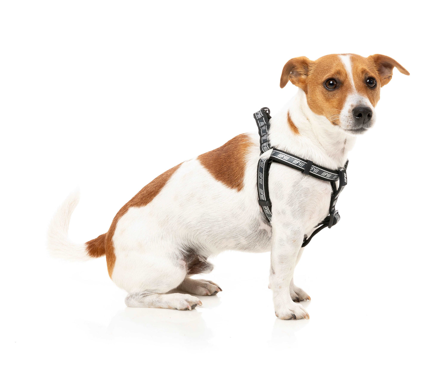 FuzzYard Active Strap Sele - Svart