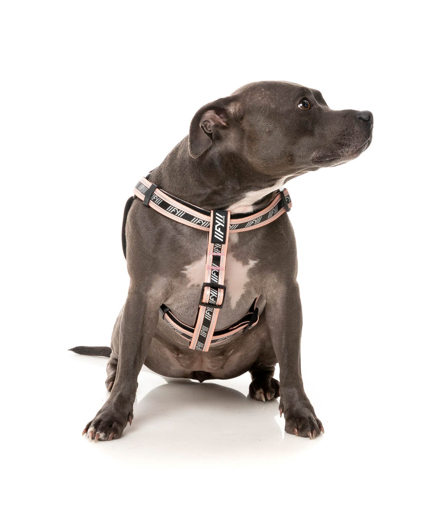 FuzzYard Active Strap Sele - Peach
