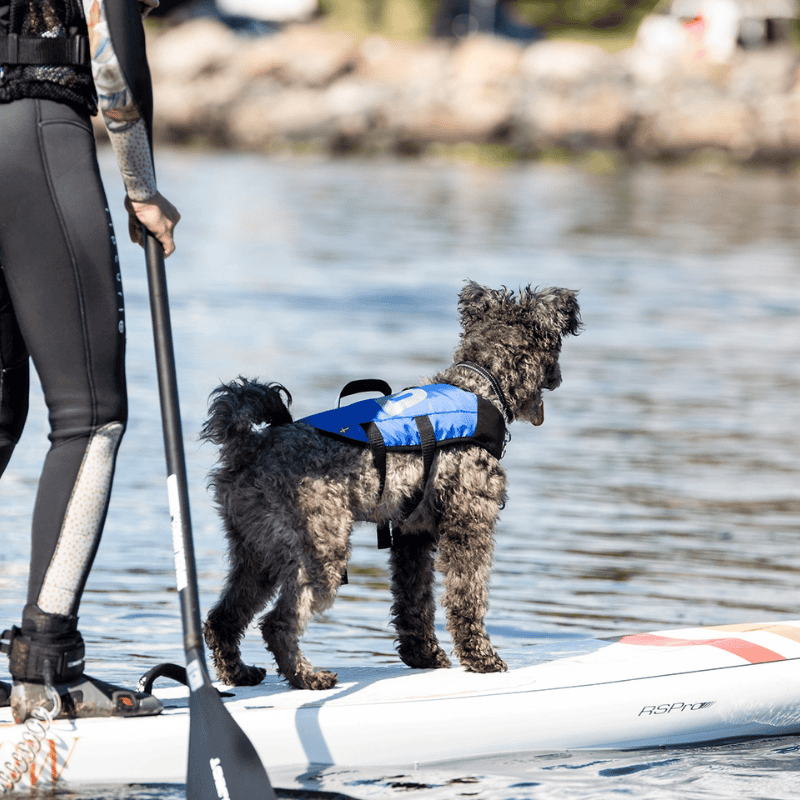 Splash Hundflytväst