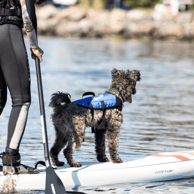 Splash Hundflytväst