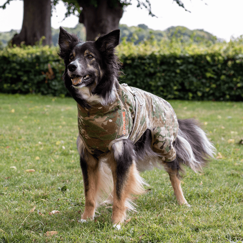 Siccaro Spa Torktäcke Spirit 2.0 Hund