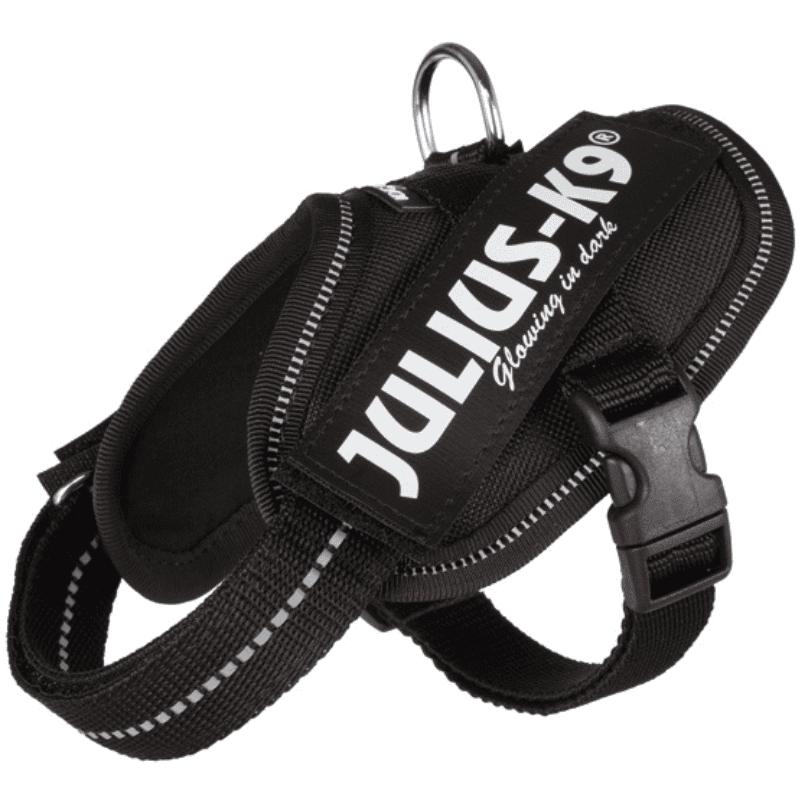 Julius K9 IDC Sele Svart