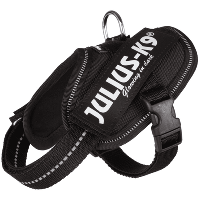 Julius K9 IDC Sele Svart