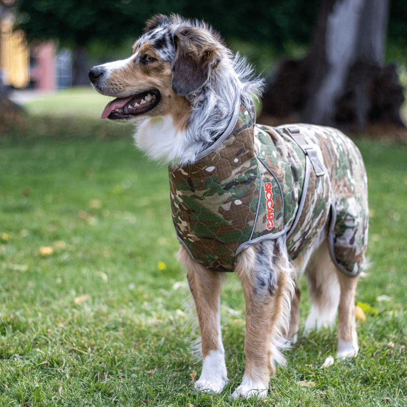 Siccaro Spa Torktäcke Spirit 2.0 Hund