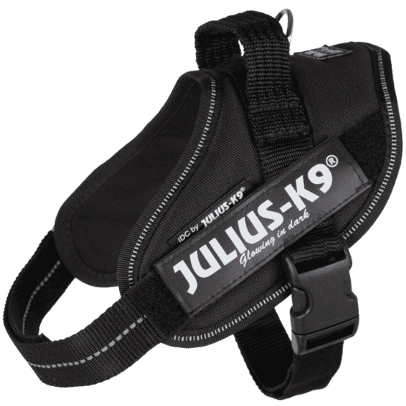 Julius K9 IDC Sele Svart