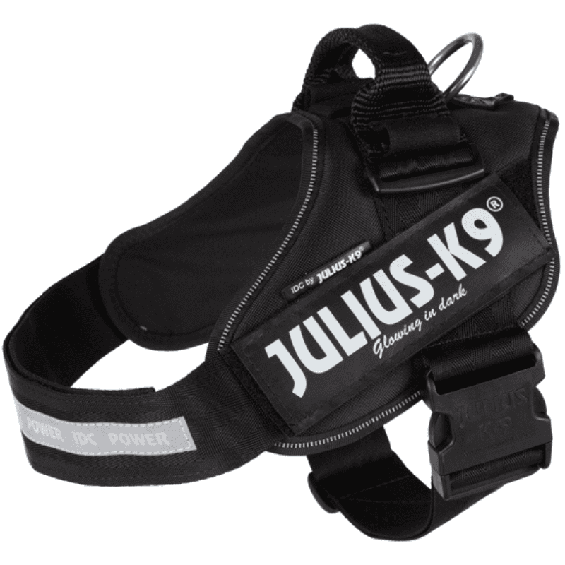 Julius K9 IDC Sele Svart