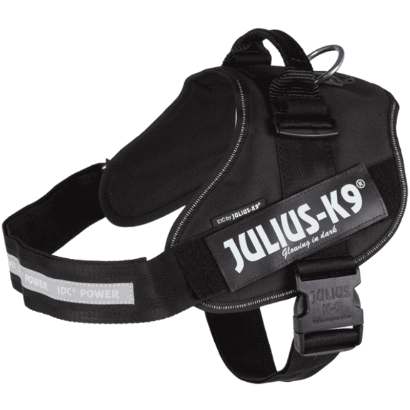 Julius K9 IDC Sele Svart