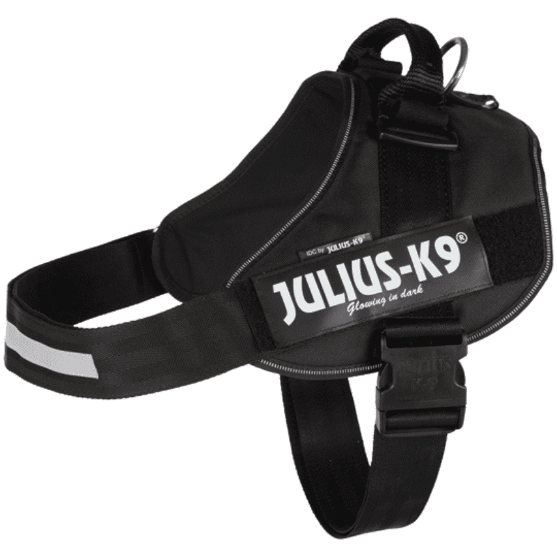 Julius K9 IDC Sele Svart