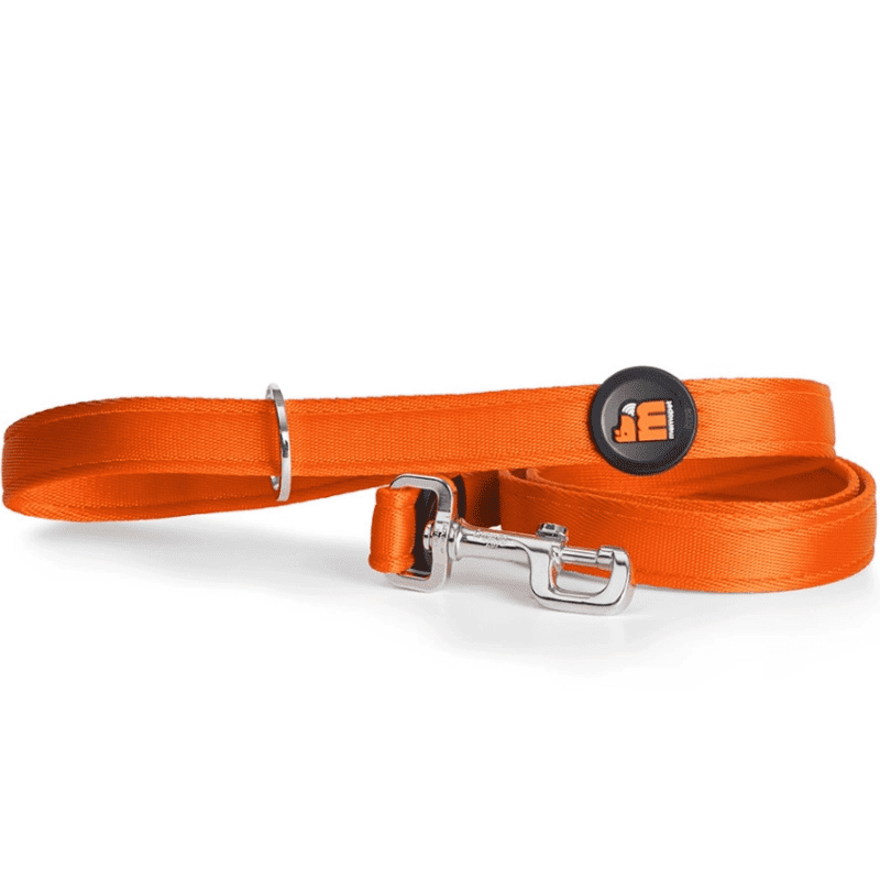 Memopet Koppel med NFC - Orange
