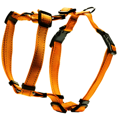 Dogman H-Sele Iris Liten/Medel/Stor